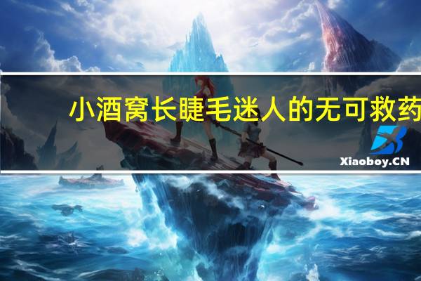 小酒窝长睫毛迷人的无可救药（小酒窝长睫毛）