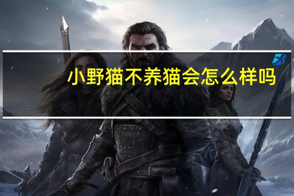 小野猫不养猫会怎么样吗