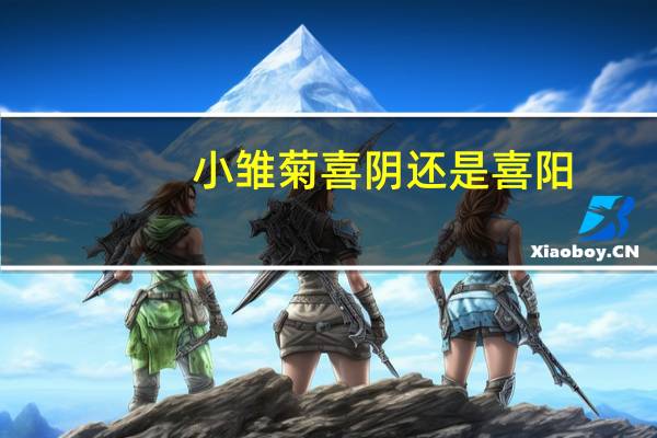 小雏菊喜阴还是喜阳