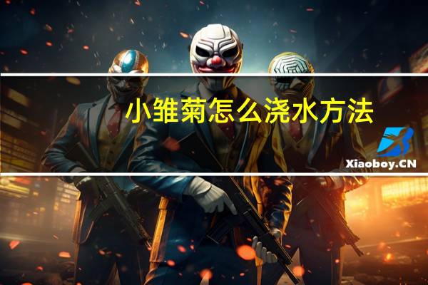 小雏菊怎么浇水方法