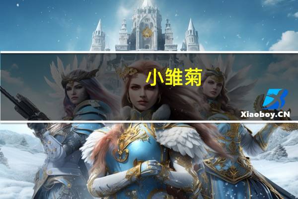 小雏菊(关于小雏菊的介绍)
