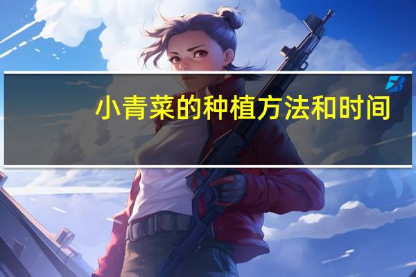 小青菜的种植方法和时间