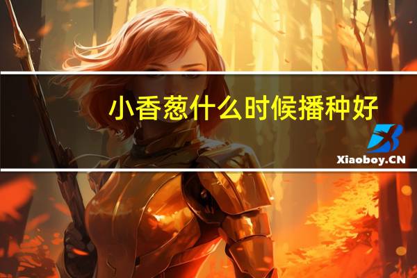 小香葱什么时候播种好