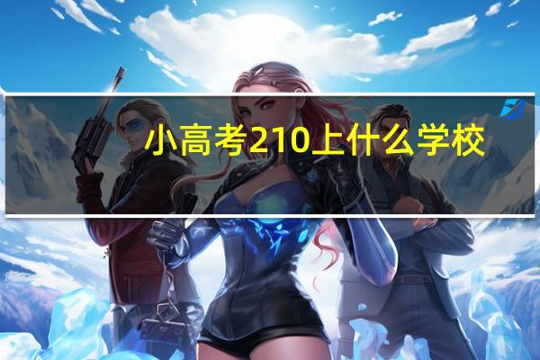 小高考210上什么学校