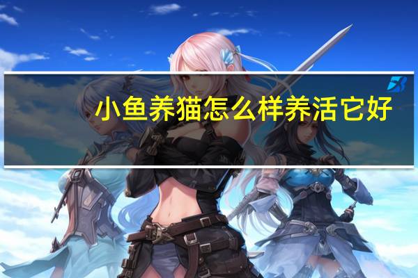 小鱼养猫怎么样养活它好