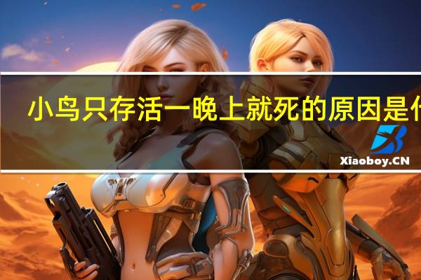 小鸟只存活一晚上就死的原因是什么
