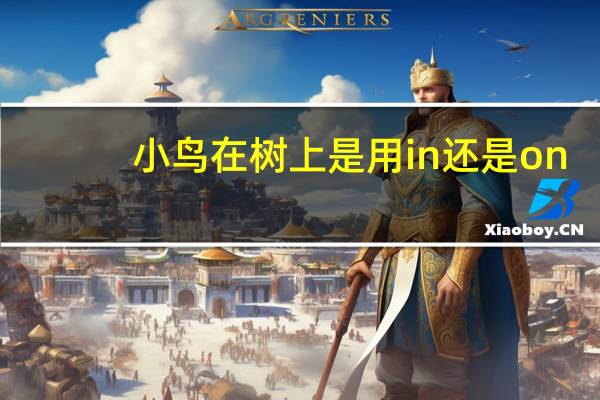 小鸟在树上是用in还是on