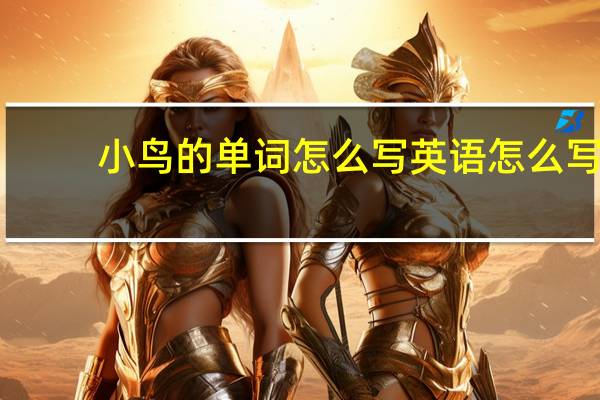 小鸟的单词怎么写英语怎么写
