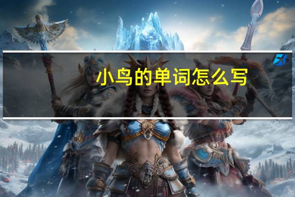 小鸟的单词怎么写