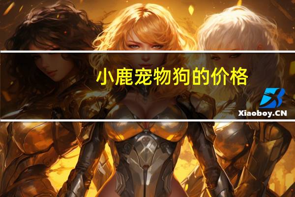 小鹿宠物狗的价格