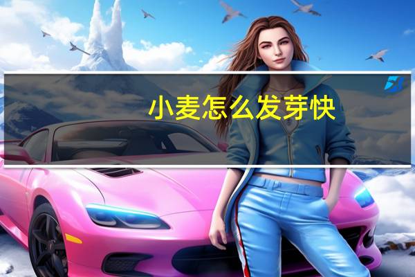 小麦怎么发芽快