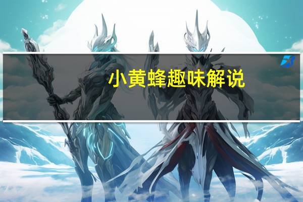 小黄蜂趣味解说（小黄蜂w619）