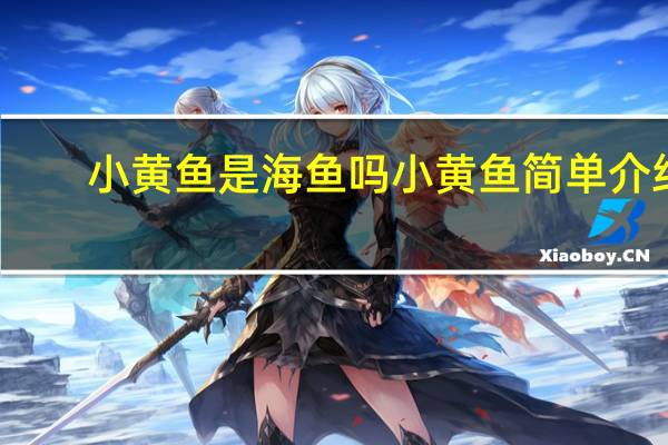 小黄鱼是海鱼吗 小黄鱼简单介绍