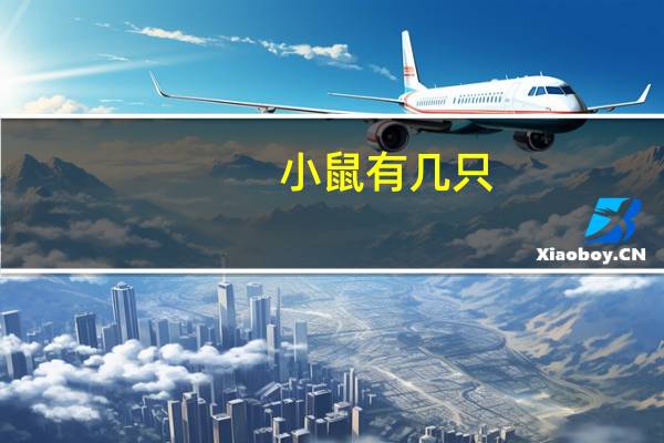小鼠有几只（10只小鼠简介）