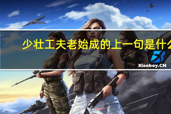 少壮工夫老始成的上一句是什么