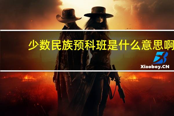 少数民族预科班是什么意思啊