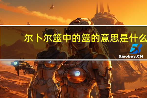 尔卜尔筮中的筮的意思是什么