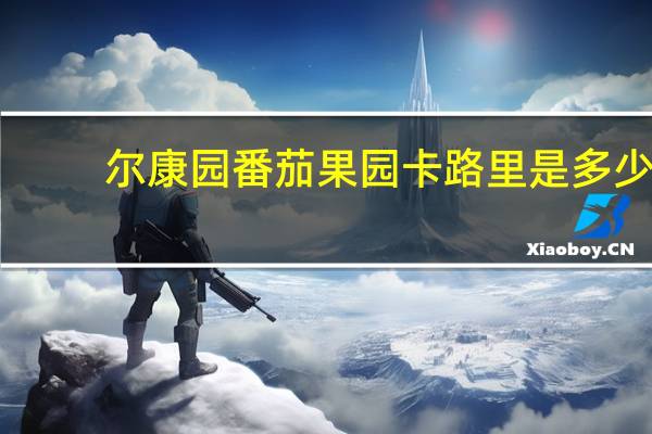 尔康园 番茄果园卡路里是多少