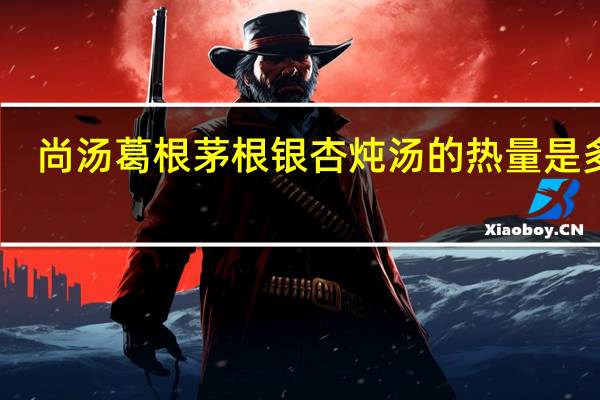 尚汤 葛根茅根银杏炖汤的热量是多少