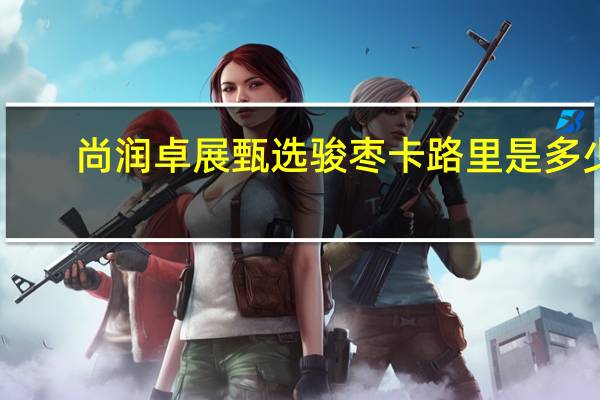 尚润 卓展甄选骏枣卡路里是多少