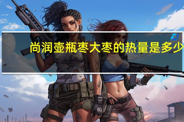 尚润 壶瓶枣大枣的热量是多少