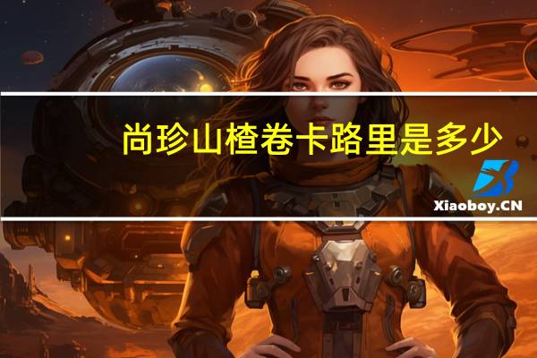 尚珍山楂卷卡路里是多少