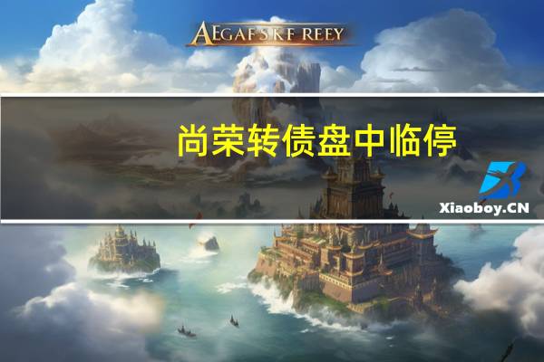 尚荣转债盘中临停