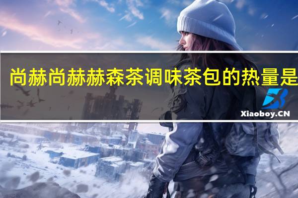 尚赫  尚赫赫森茶 调味茶包的热量是多少