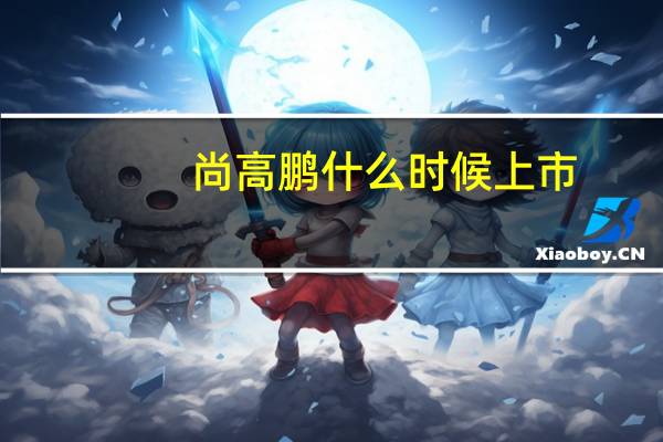 尚高鹏什么时候上市？