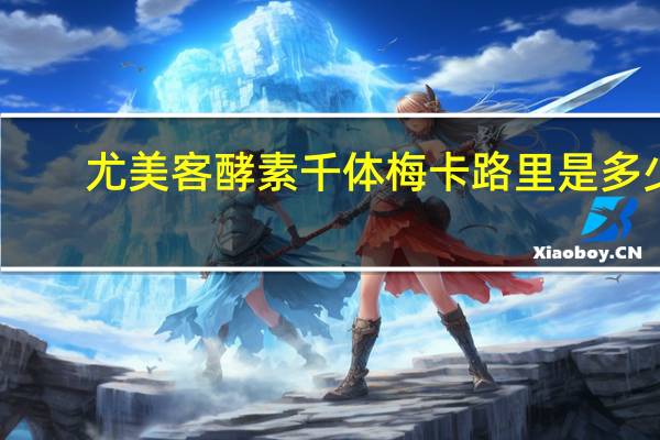 尤美客 酵素千体梅卡路里是多少