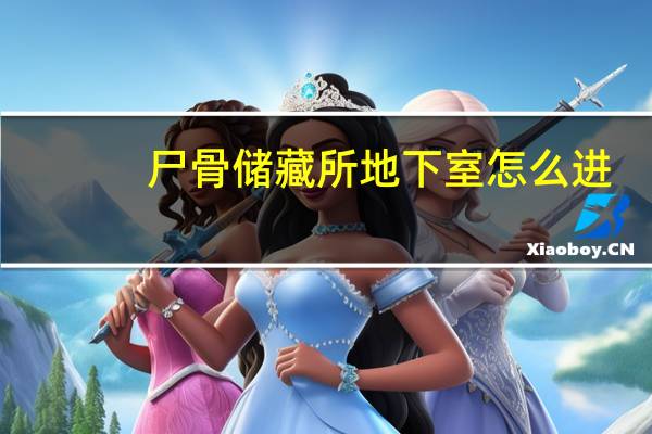尸骨储藏所地下室怎么进(尸骨储存室)