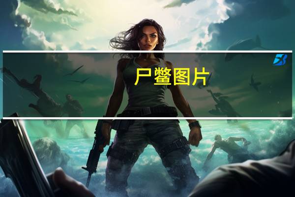 尸鳖图片（尸蹩）