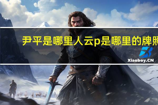 尹平是哪里人 云p是哪里的牌照