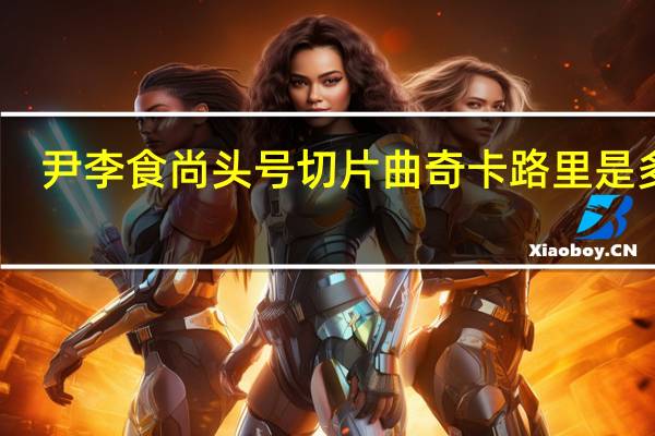 尹李食尚 头号切片曲奇卡路里是多少