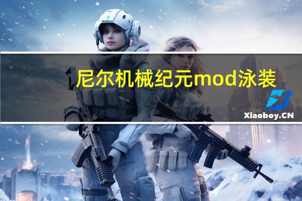 尼尔机械纪元mod泳装(尼尔机械纪元mod怎么用)