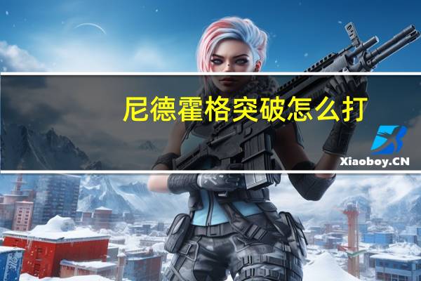 尼德霍格突破怎么打（尼德霍格2怎么双人）