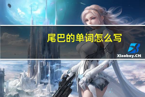 尾巴的单词怎么写