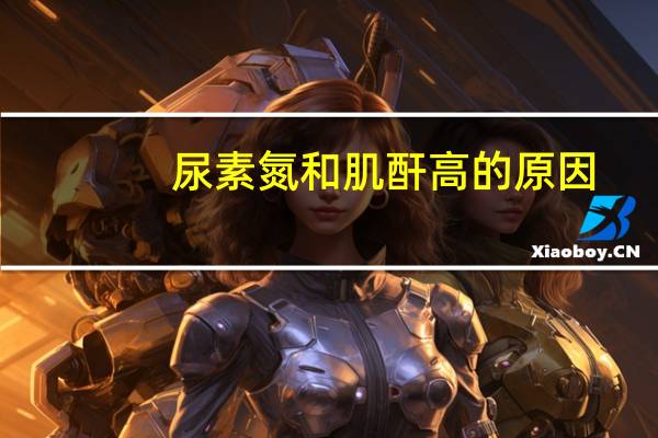 尿素氮和肌酐高的原因（尿素氮和肌酐偏高是什么意思）