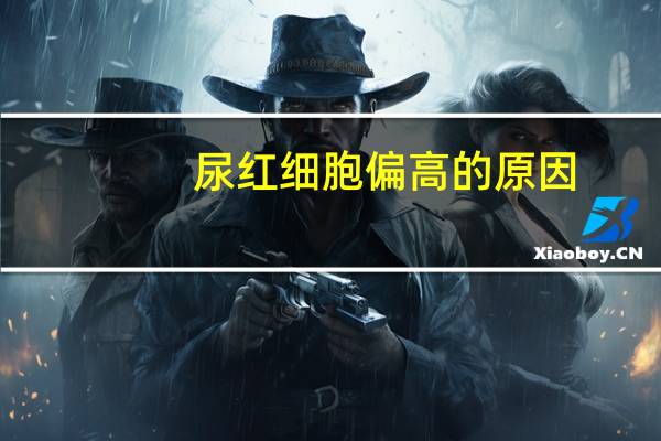 尿红细胞偏高的原因(尿红细胞偏高的原因)