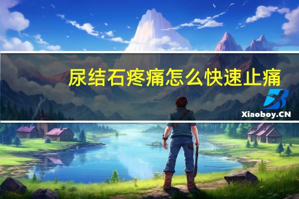 尿结石疼痛怎么快速止痛(尿结石痛怎么快速止痛)