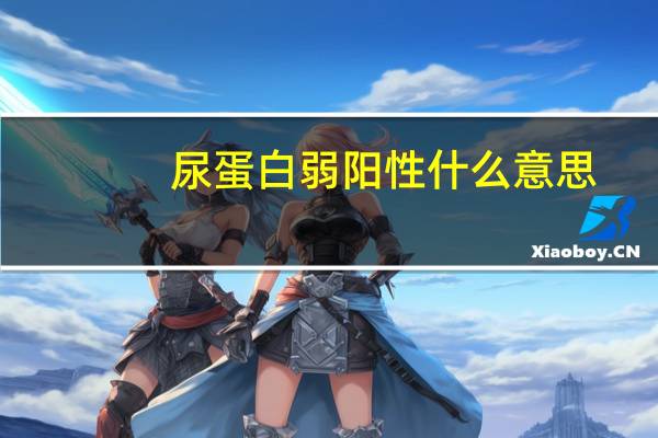 尿蛋白弱阳性什么意思（尿蛋白弱阳性）