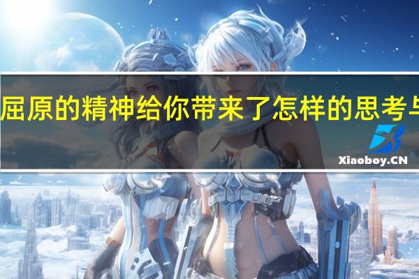 屈原的精神给你带来了怎样的思考与感悟?