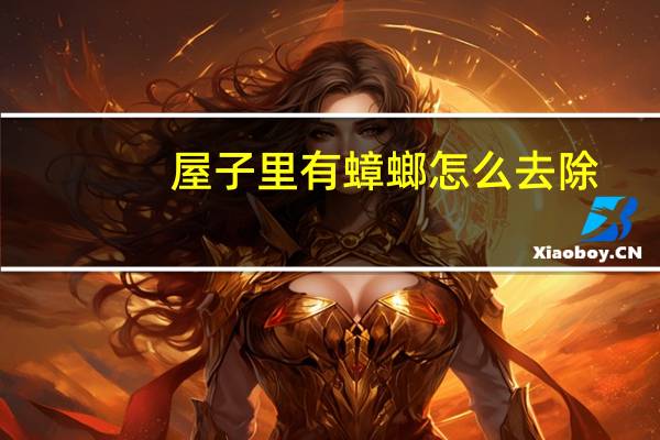屋子里有蟑螂怎么去除