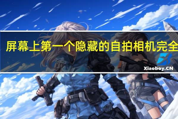屏幕上第一个隐藏的自拍相机完全暂停