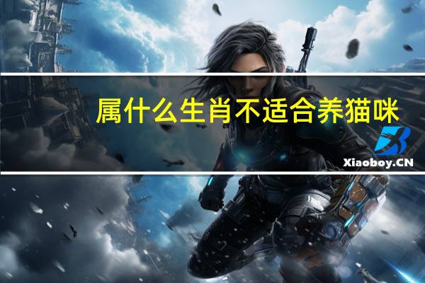 属什么生肖不适合养猫咪