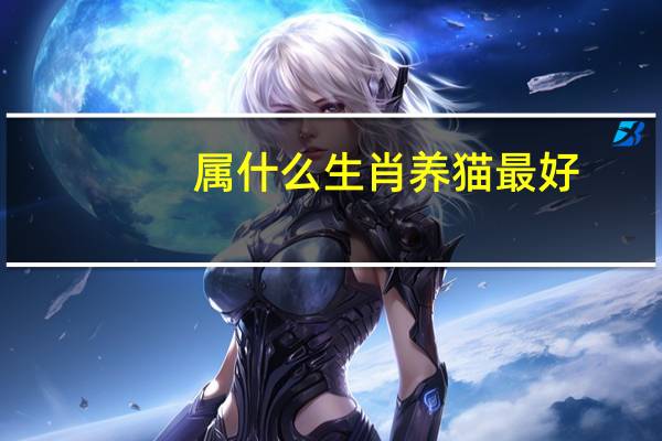 属什么生肖养猫最好