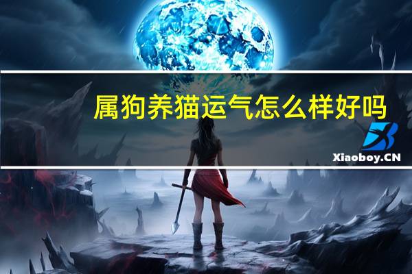 属狗养猫运气怎么样好吗