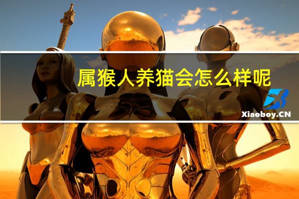 属猴人养猫会怎么样呢