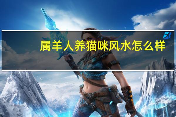 属羊人养猫咪风水怎么样