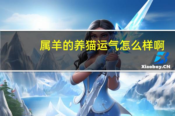 属羊的养猫运气怎么样啊